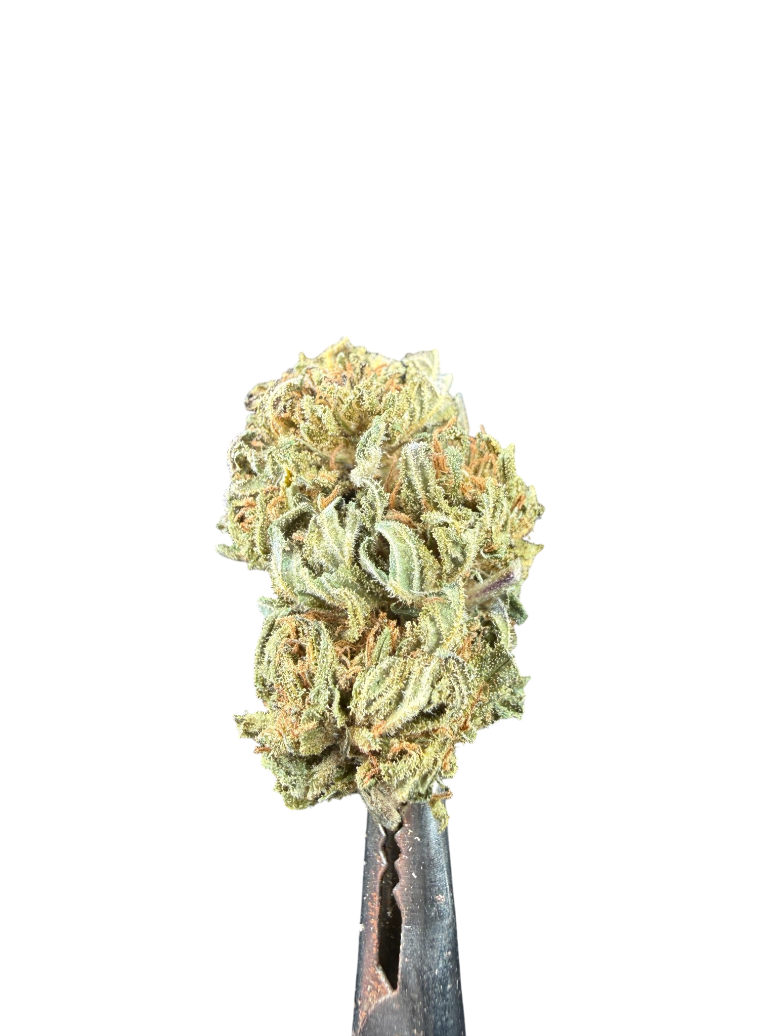 Top Strawberry Haze CBD