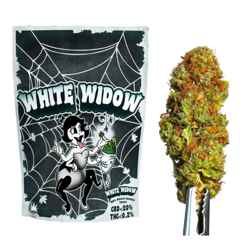 White Widow Susz Konopny CBD