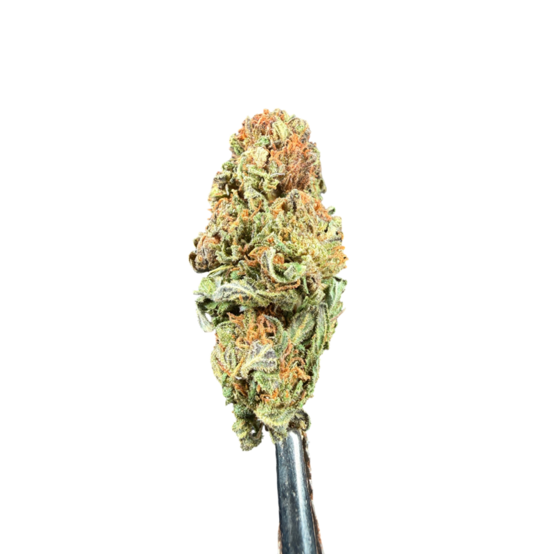Amnesia 1