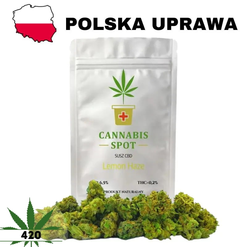 Susz CBD Lemon Haze małe topy 10g