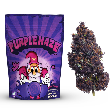 Purple haze mockup