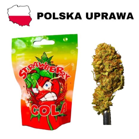 Susz konopny CBD Strawberry Cola - CBD<8% 10g