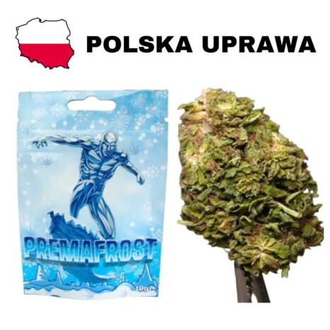 Susz konopny CBD Premafrost 10g polska uprawa