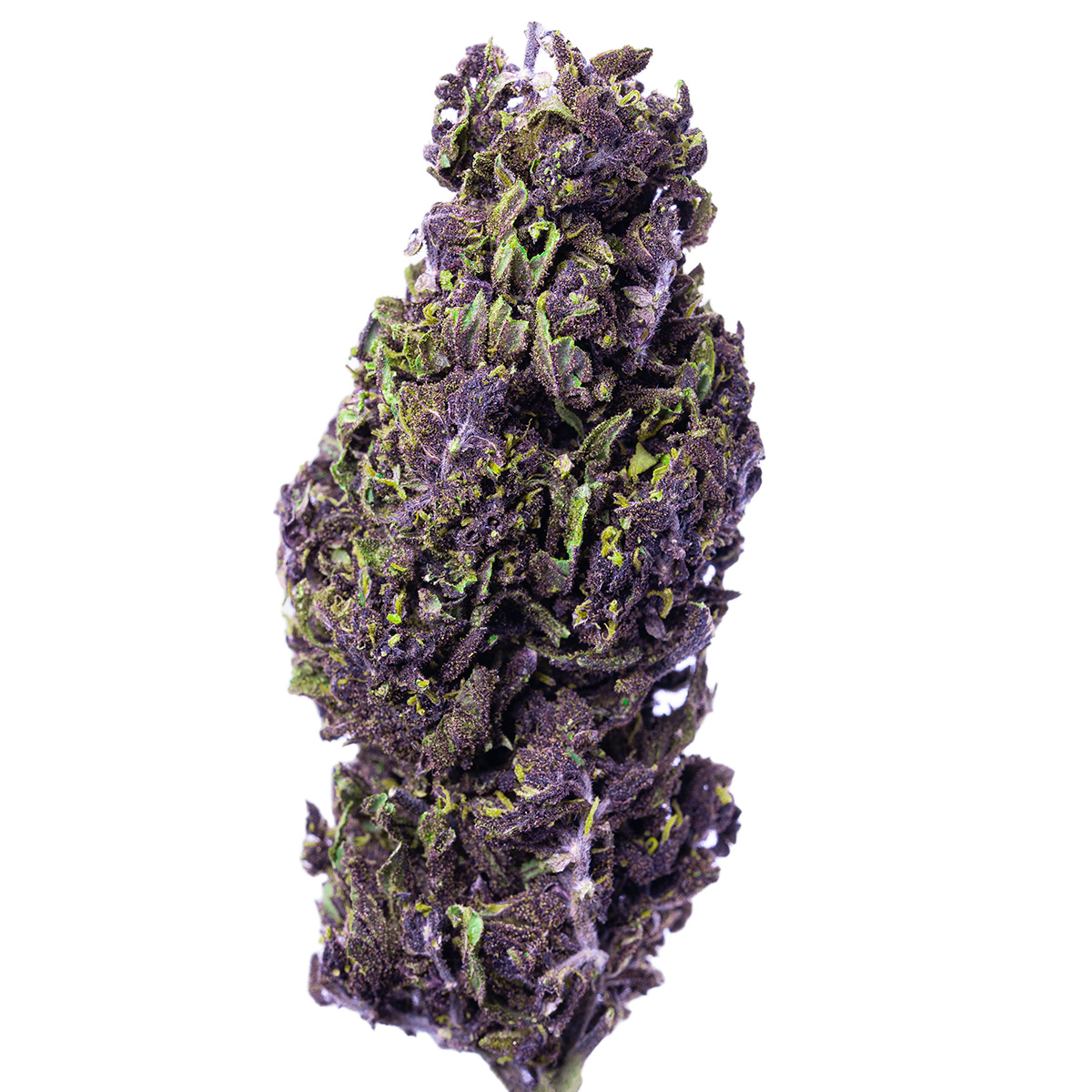 Purple hurt tytułowe no bckrg Purple hurt tytułowe no bckrg