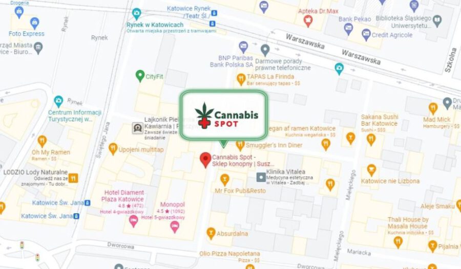 Mapa Cannabis Spot