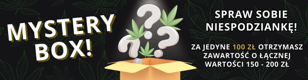 Mystery Boxy Cannabis Spot