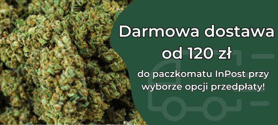 Darmowa dostawa od 120 zł (1)