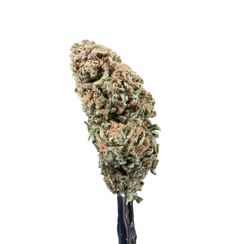 CBG1