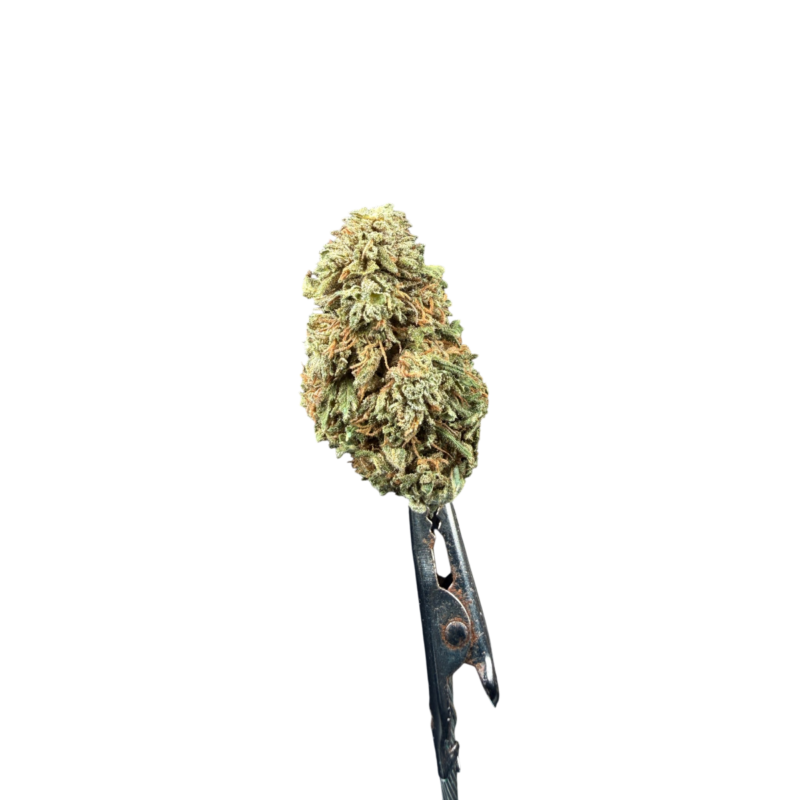 CBG3