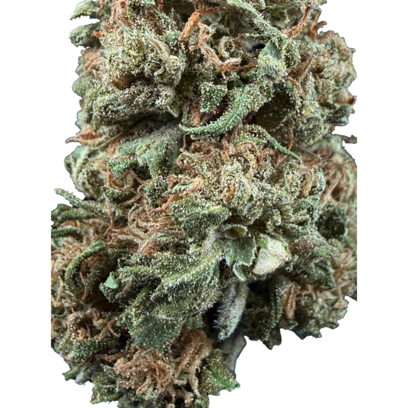 CBG5