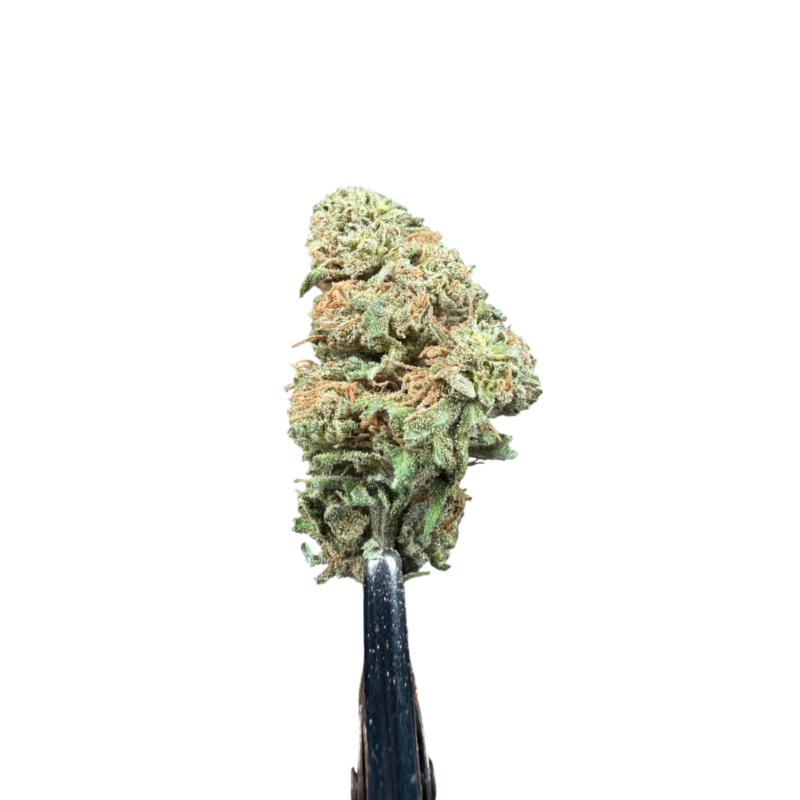 CBG6