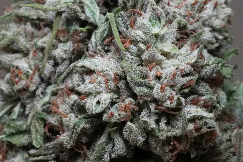 Susz CBG Therapy - Cannabis Spot Susz CBG Therapy - Cannabis Spot