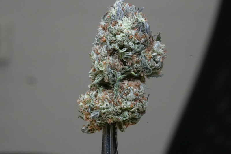 Susz CBG Therapy - Cannabis Spot Susz CBG Therapy - Cannabis Spot