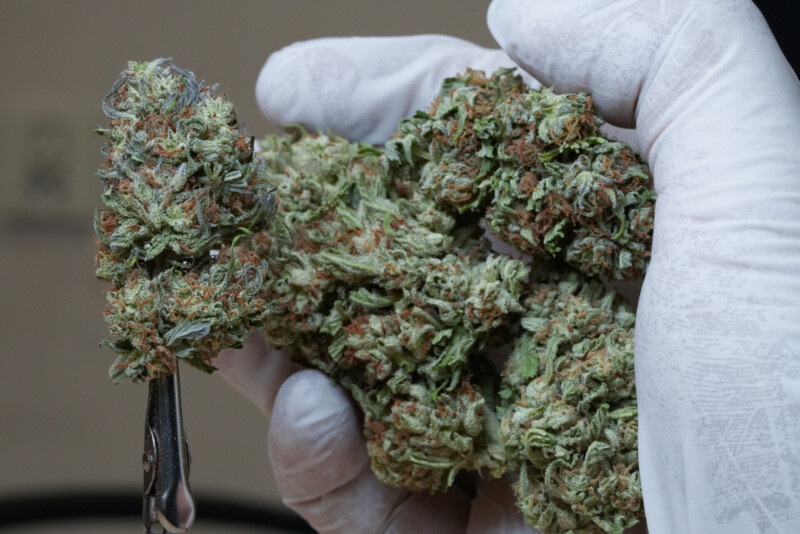 Susz CBG Therapy - Cannabis Spot Susz CBG Therapy - Cannabis Spot