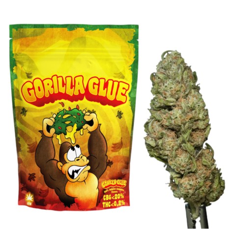 Susz Konopny Gorilla CBG 21% – CBG