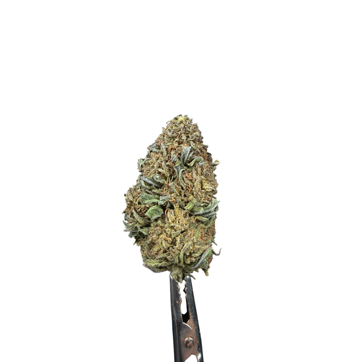 Top Gorilla Glue CBD