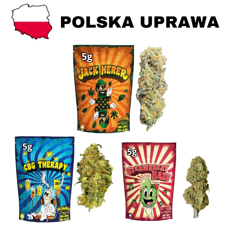 Susz CBD Polski Zestaw 3x5g - Strawberry Haze + CBG Therapy + Jack Herer