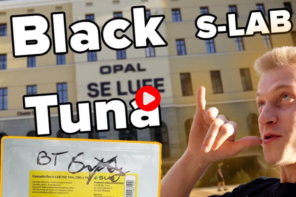 Black Tuna S-LAB