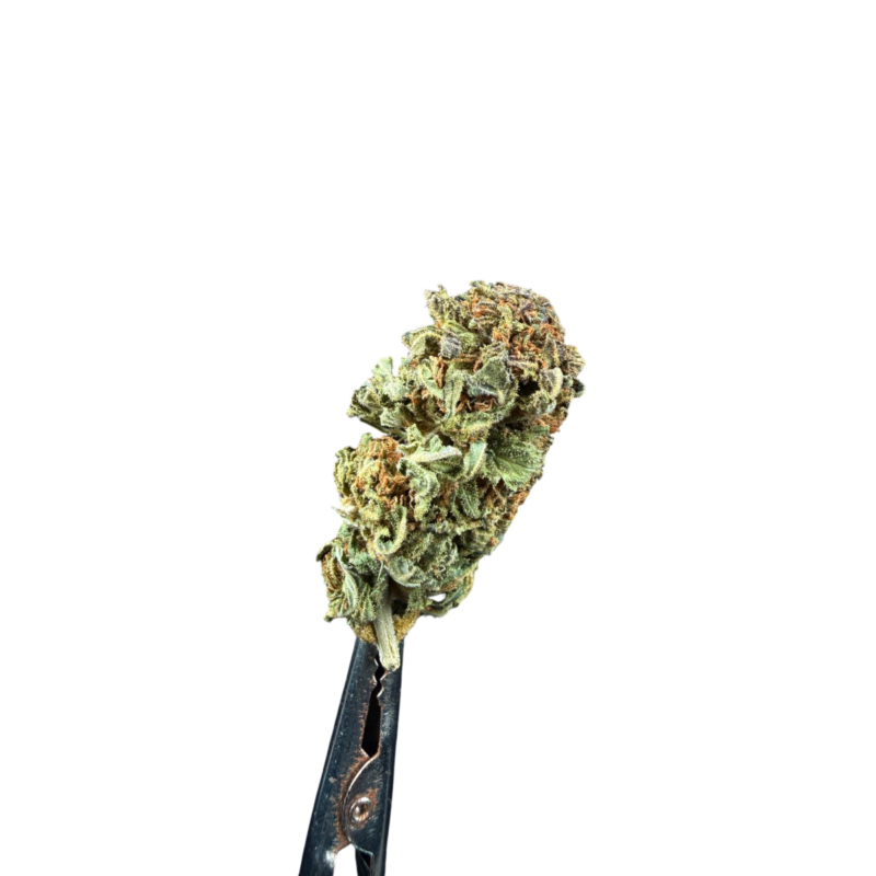 LEmon4