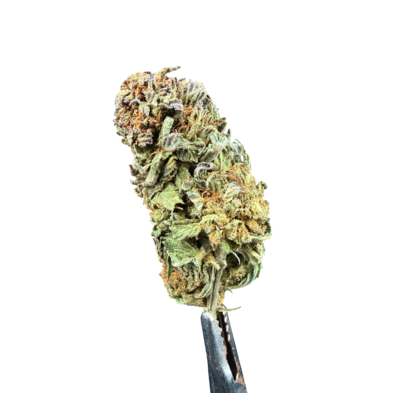 Lemon1