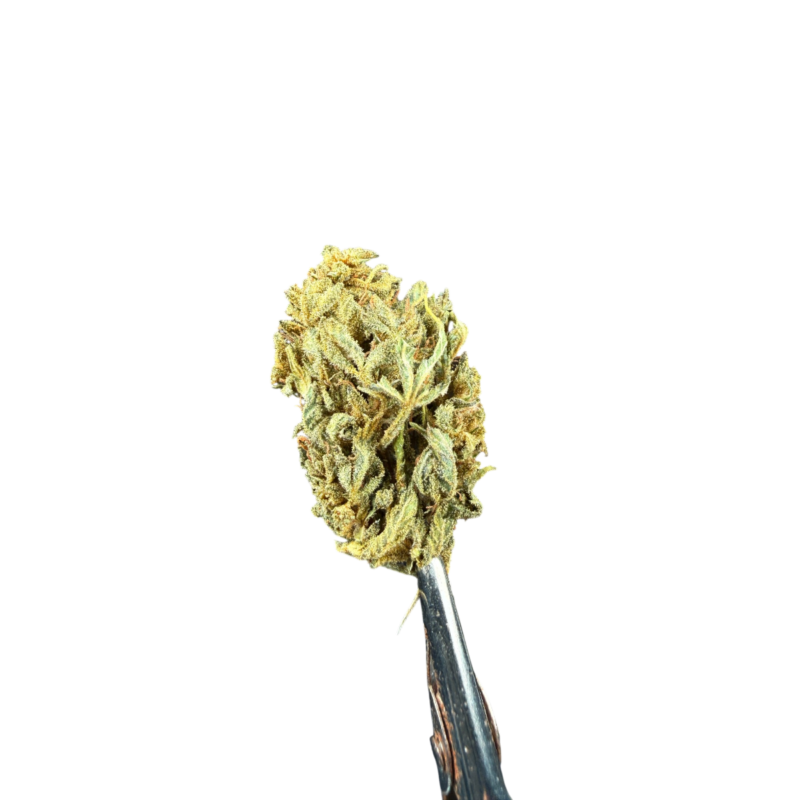 Lemon2