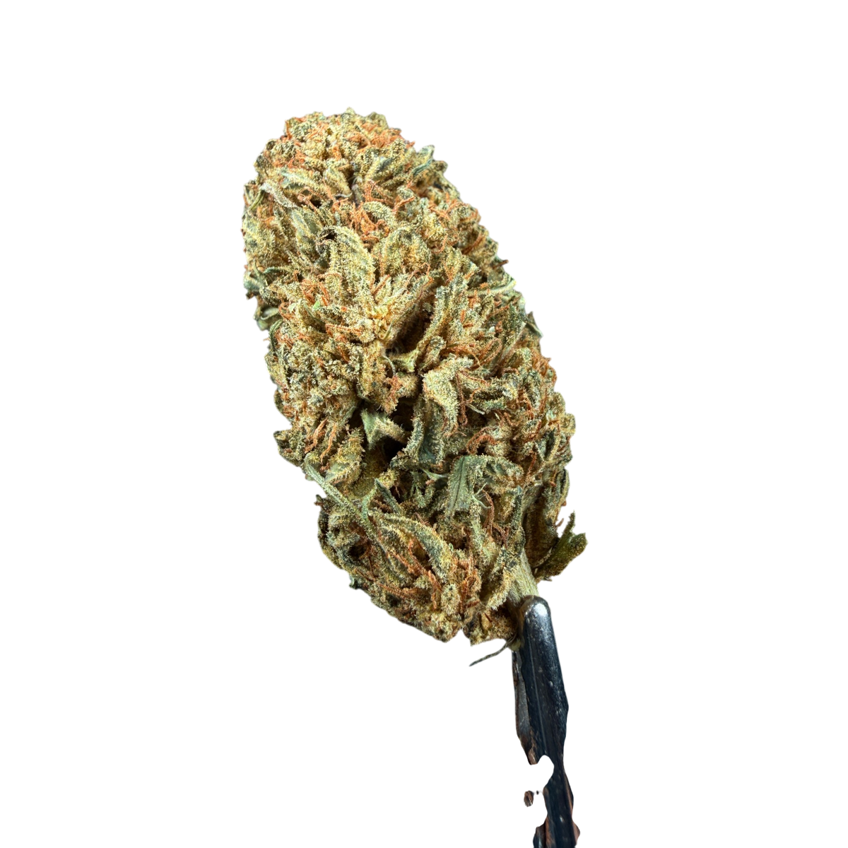 Top Lemon Haze CBD