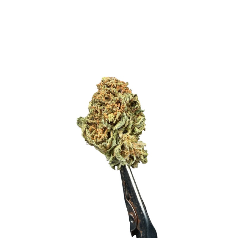 Lemon5