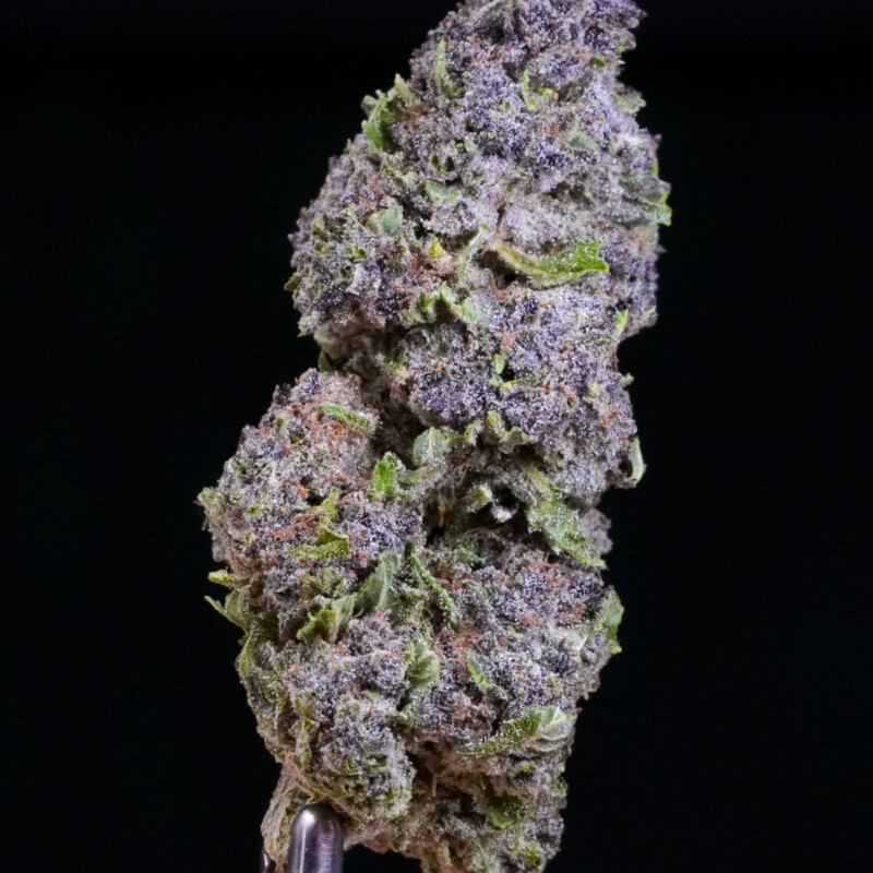 Purple Haze CBG