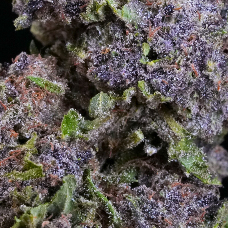 Purple Haze CBG