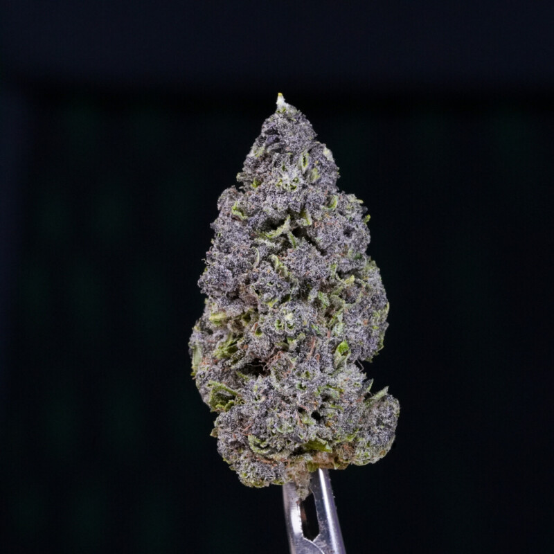 Purple Haze CBG