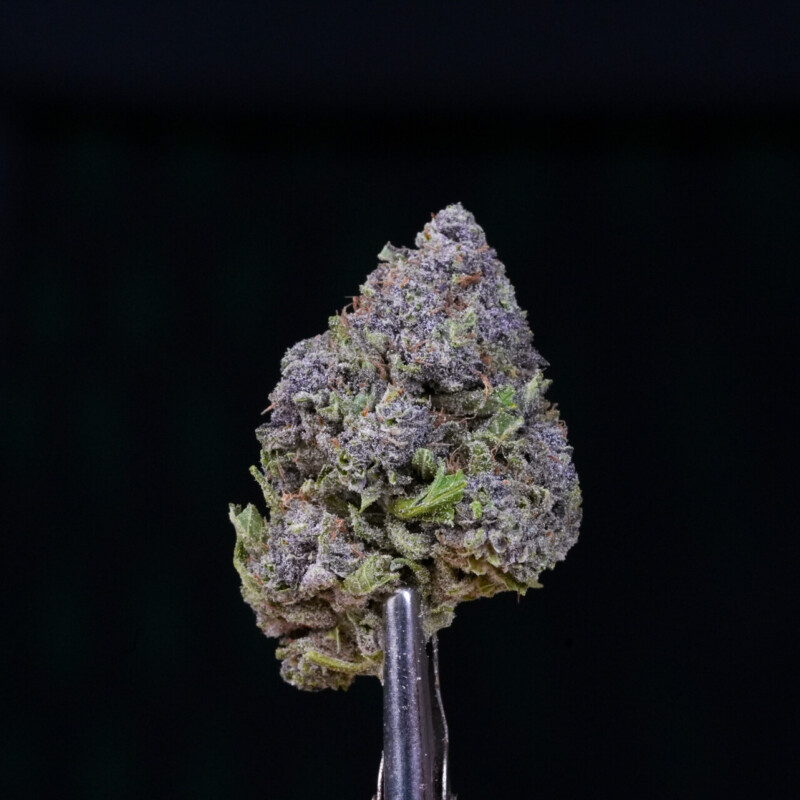 Purple Haze CBG