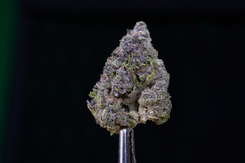 Purple Haze CBG Purple Haze CBG