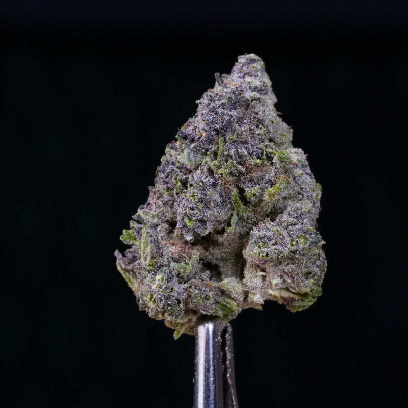 Purple Haze CBG