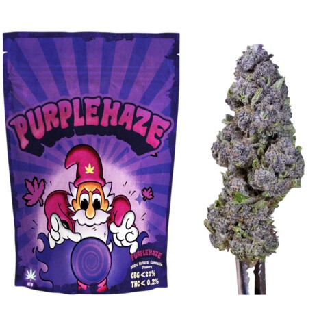 Purple Haze CBG