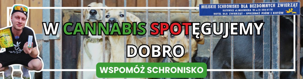 Schronisko cannabis spot