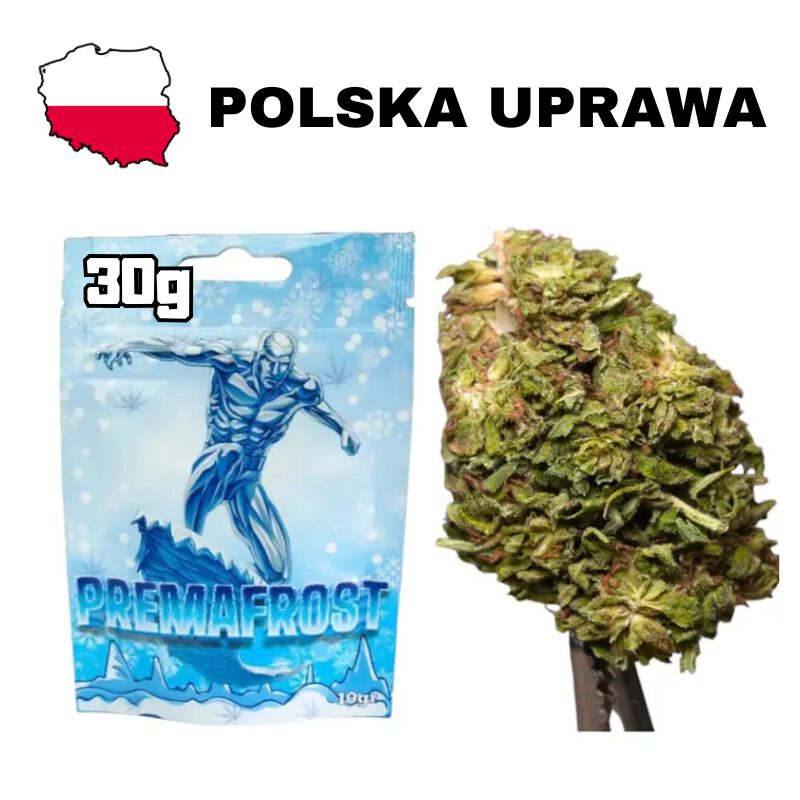 Susz konopny CBD Premafrost 30g oplska uprawa