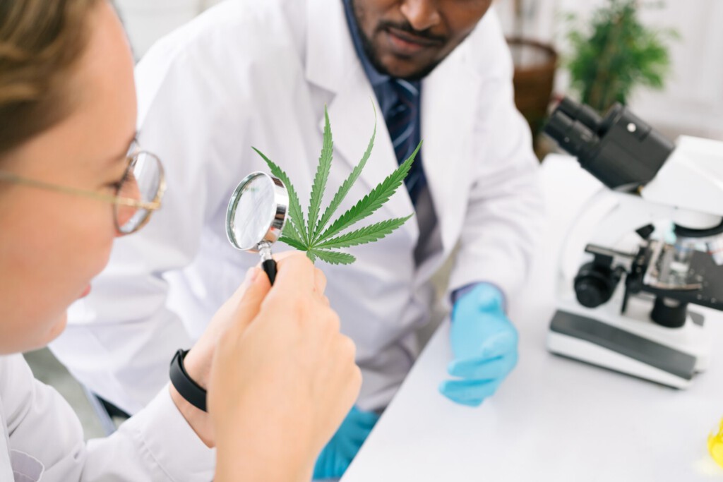 CBD w świetle współczesnej nauki – co mówią badania