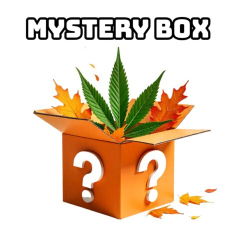 Jesienny Mystery Box - Akcesoria do palenia i gadżety