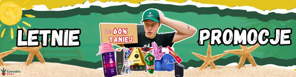 letnie promocje