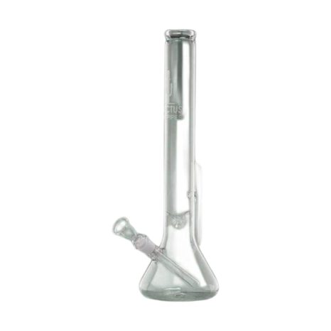 Bongo CACTUS 44 cm 18,8 mm