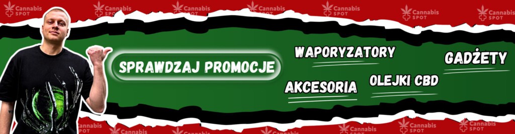baner glowny promocje