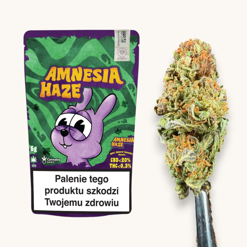 Amnesia Haze main