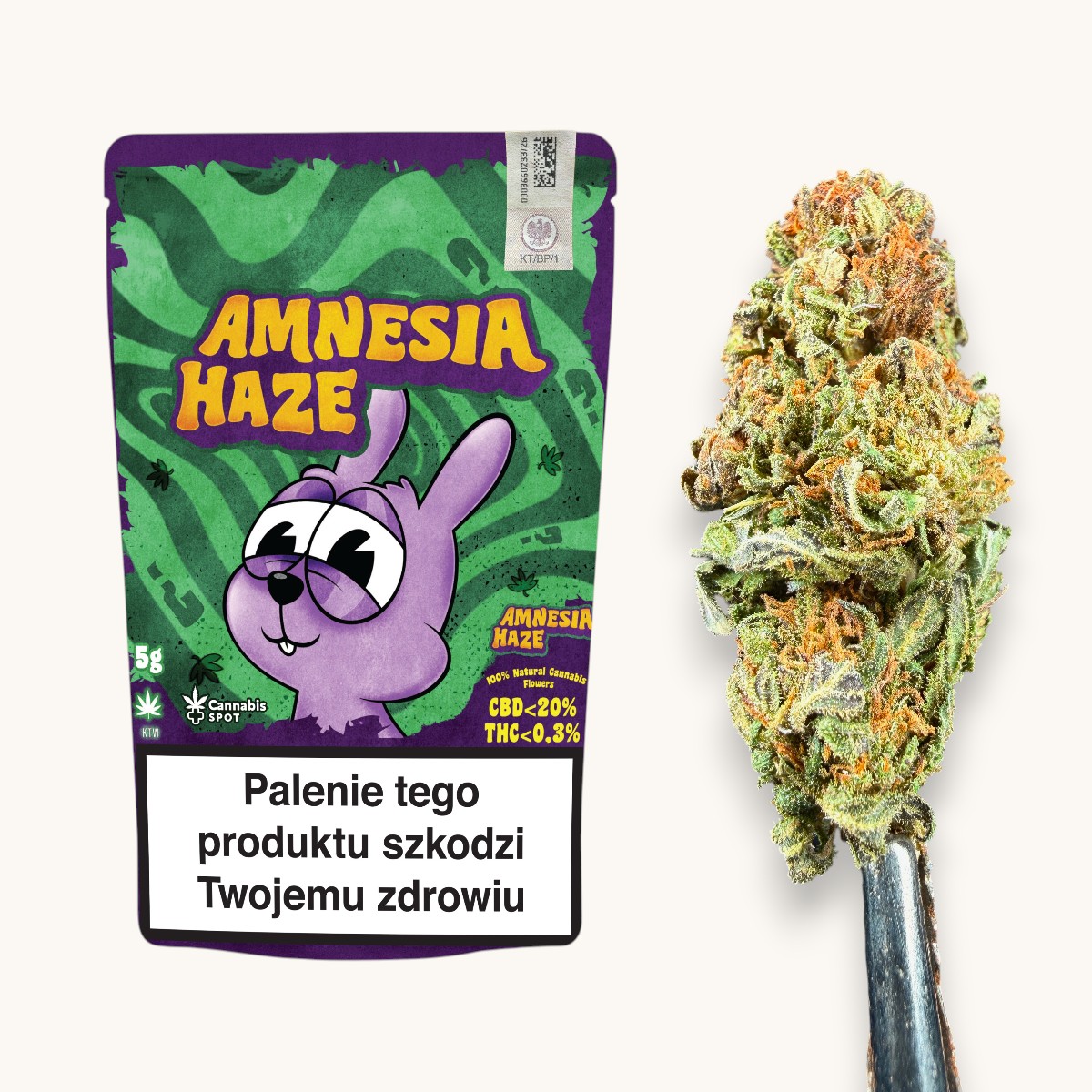 Amnesia Haze CBD