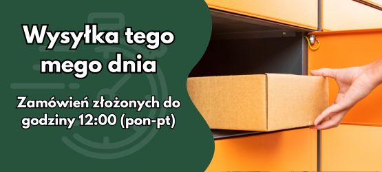 wysylka tego samego dnia grafika